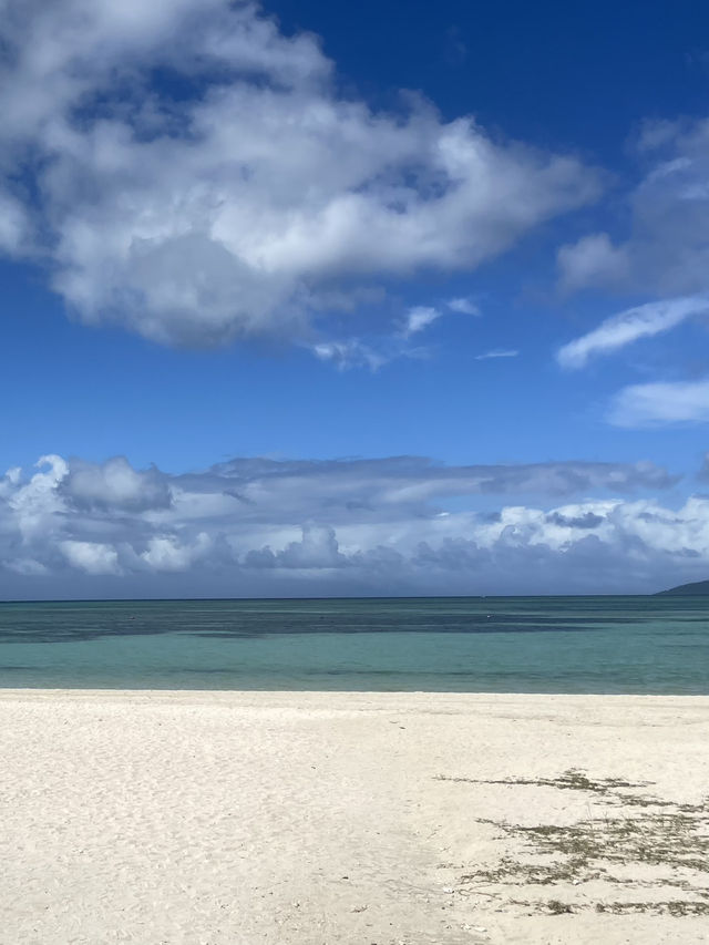 沖縄　石垣島でスキューバダイビング🤿🐠