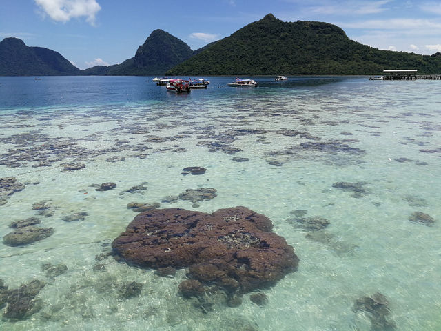Paradise Found: A Day at Pulau Sibuan, Sabah