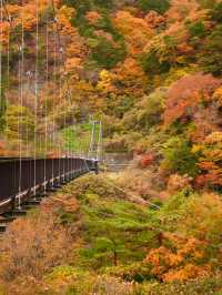 【栃木/鬼怒川】絶景！温泉だけじゃない鬼怒川の魅力