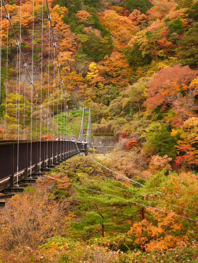 【栃木/鬼怒川】絶景！温泉だけじゃない鬼怒川の魅力