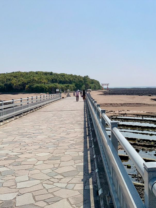 【宮崎　青島】