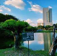 泰國曼谷市區天然濕地綠洲公園景點:Healthy Park，享受大自然綠意盎然，適合拍照📸打卡親子遊