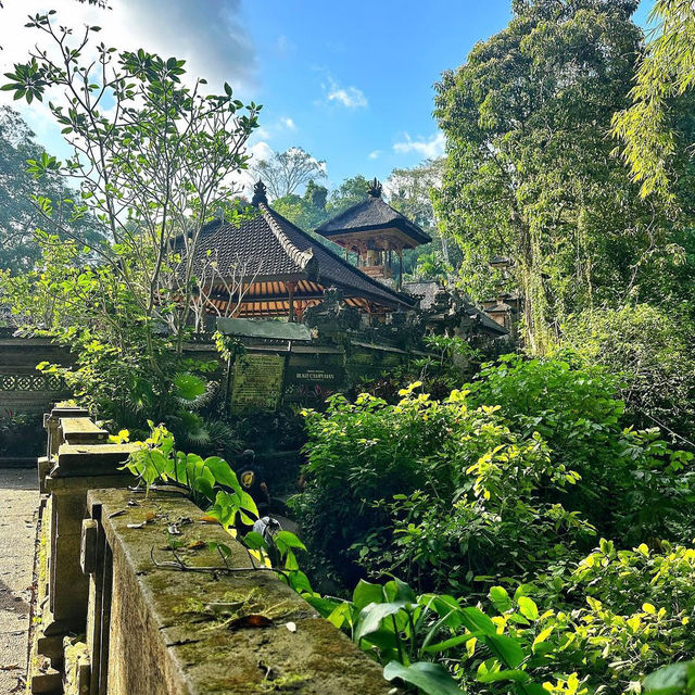 Campuhan Ridge Walk: A Scenic Escape in Ubud