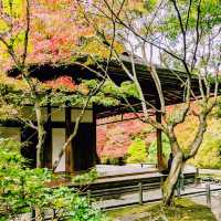 【京都紅葉】京都の秋旅に絶対訪れたい！南禅寺天授庵