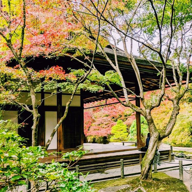 【京都紅葉】京都の秋旅に絶対訪れたい！南禅寺天授庵