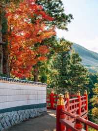 超美楓葉季🥰小眾寺廟攻略☺️超推薦❤️
