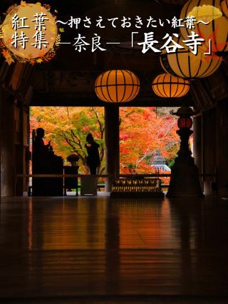 [Go here] Aim for silhouette photos of autumn leaves 📸 Introducing must-visit autumn leaf spots 🍁 with photography tips