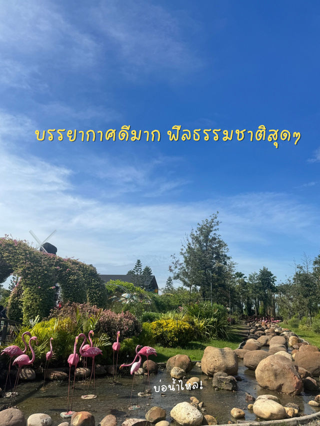 📍 Kopi House | โกปี๊เฮ้าส์ คาเฟ่บรรยากาศเริส