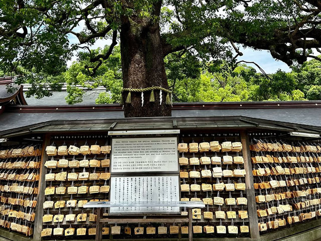 Tranquil Exploration at Meiji Jingu