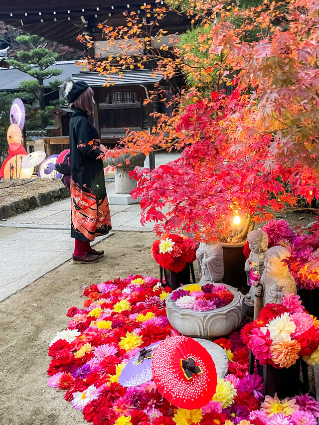 奈良観光🍁岡寺🍁