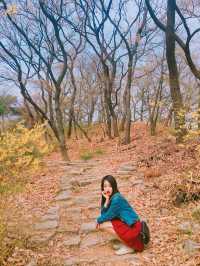 사진찍기 좋은 올림픽공원!