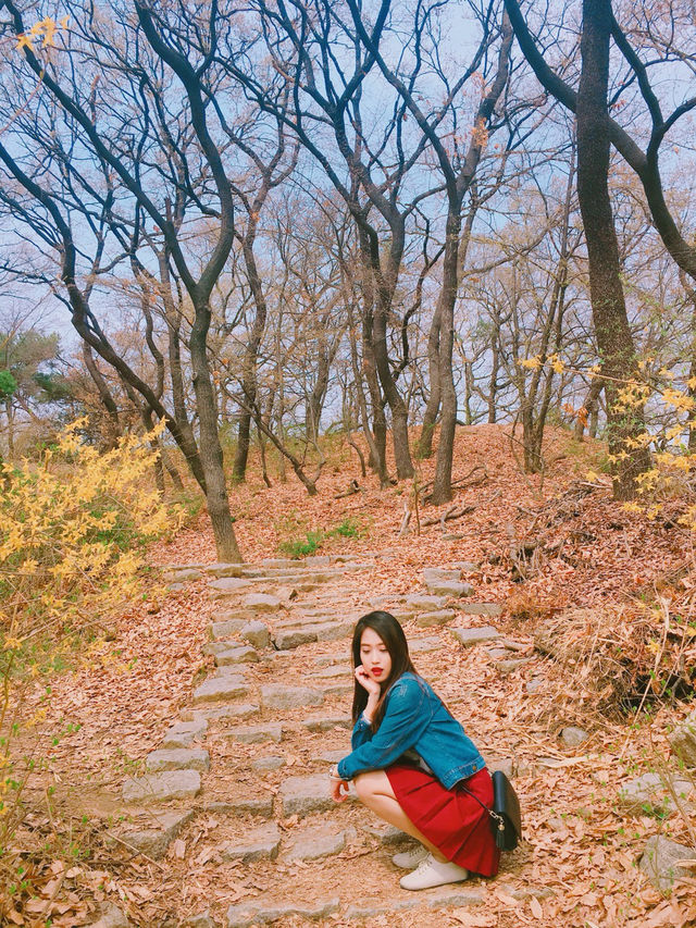 사진찍기 좋은 올림픽공원!