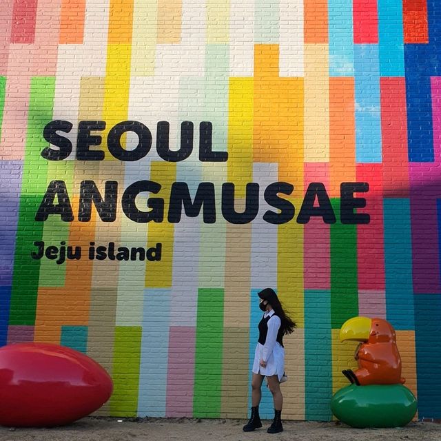 제주 No.1최애카페 서울앵무새 제주점