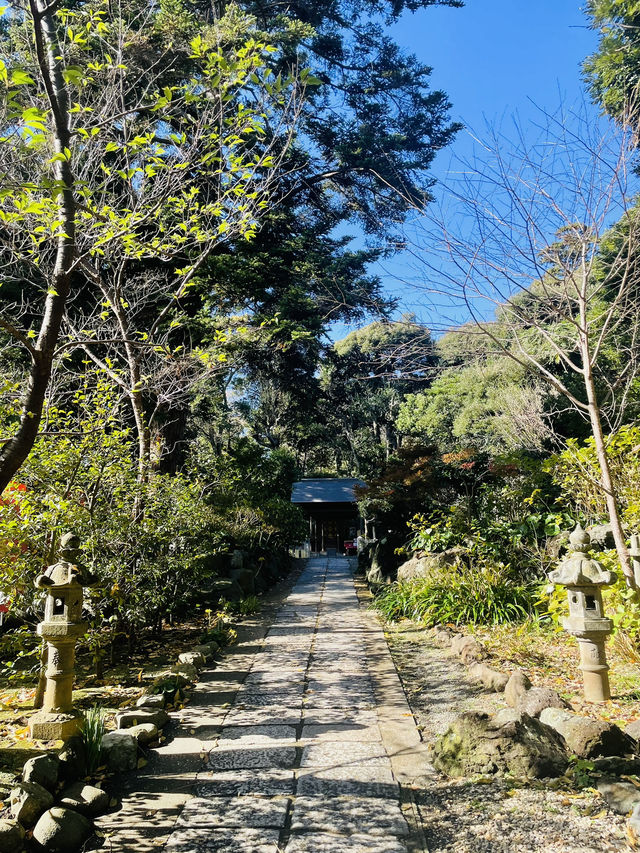 【神奈川県/鎌倉　良縁の縁結びの神社として知られている 『葛原岡神社』】
