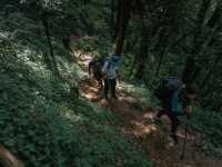 Mardi Himal