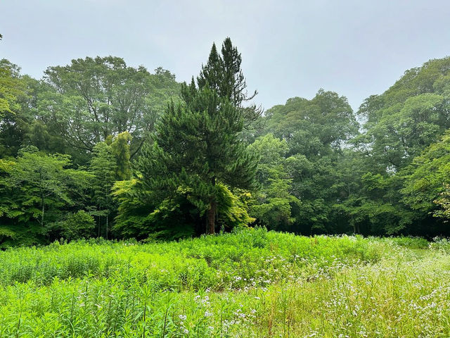 Sashiro Sanroku Park