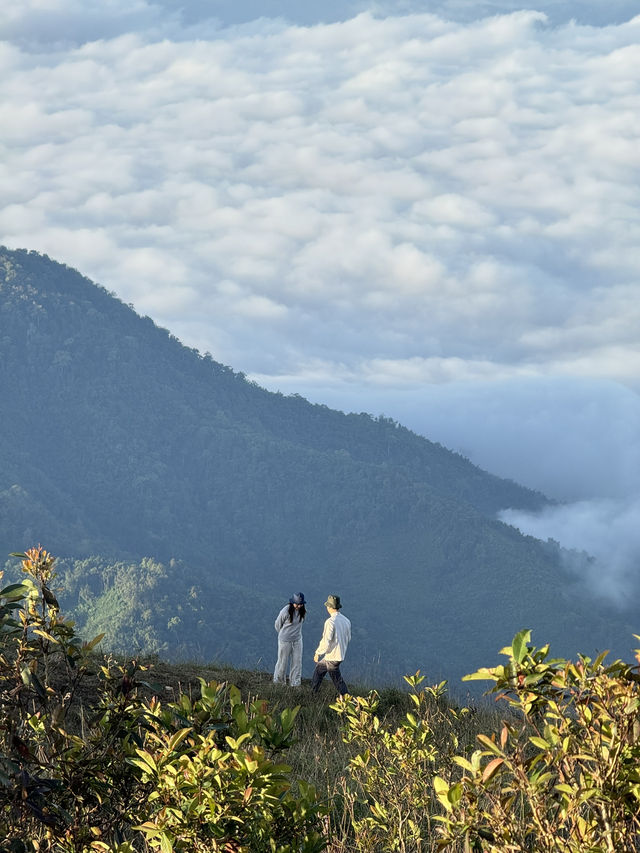 แคมป์จอวาเล | จ.ตาก ⛰️🌳⛅️🏕️