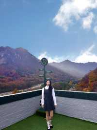 가을 설악산에 내려앉은 빨간 단풍이불 🍂🍁