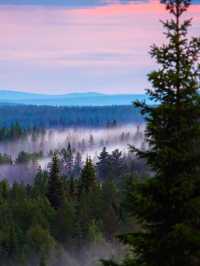 Sarek National Park: A Journey Into Sweden’s Pristine Wilderness