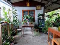 ฉลู คาเฟ่ คาเฟ่ย่านปากเกร็ด นนทบุรี