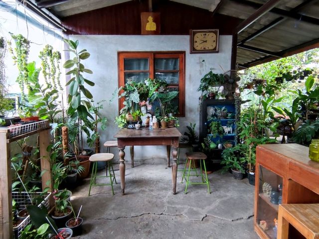 ฉลู คาเฟ่ คาเฟ่ย่านปากเกร็ด นนทบุรี