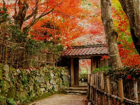 #滋賀🇯🇵教林坊#
