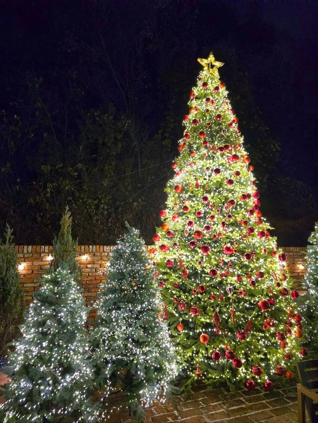 대형트리와 분수가 있는 거제 유럽감성카페🎄