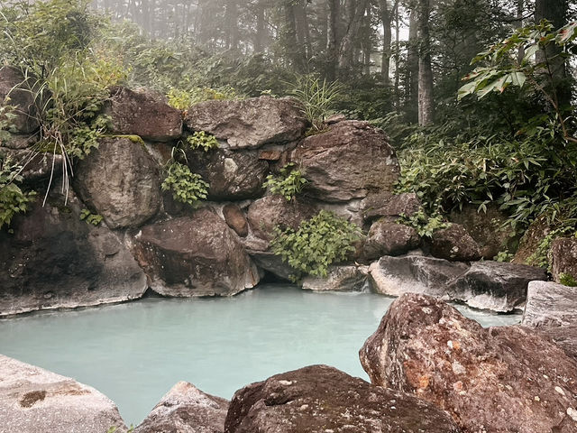 【夏日限定：獨旅新潟&長野 - ̗̀ ( ˶’ᵕ‘˶) ̖́-】