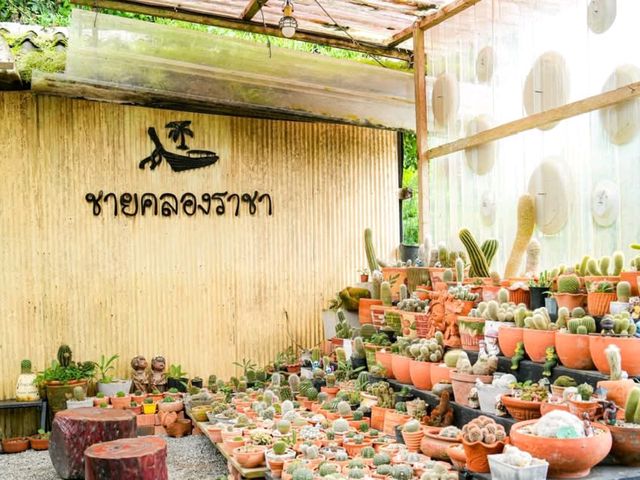 ชายคลองราชา