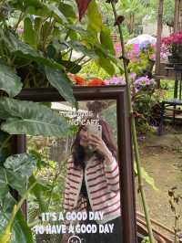 🎄22 Aquarius Glamping Cafe คาเฟ่บนดอยอินทนนท์
