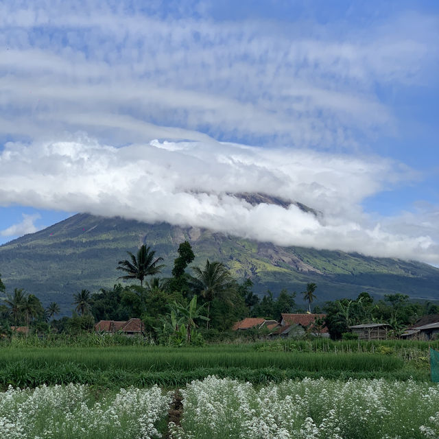 世外桃源塞梅魯火山推薦