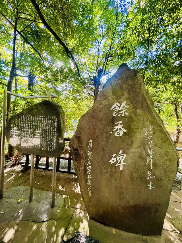 【日本伊東】來宮神社：日本能量景點，樹齡超過2000年的巨楠