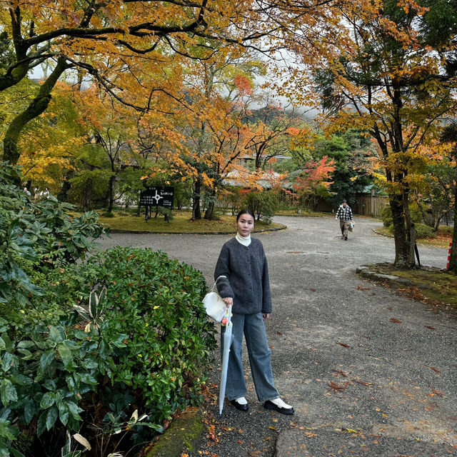 🍁Autumn in Yufuin🇯🇵