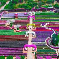   สวนเมเปิ้ล สวนดอกไม้ที่กำลังบานสวยวิวสุดอลังการ