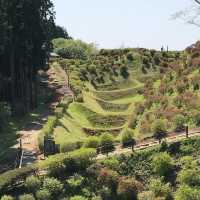 【静岡　お城巡り】