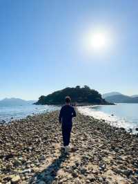香港景點🇭🇰 香港原來有個藝術島🏝️
