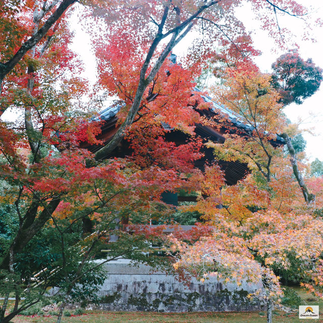 Kinkakuji Temple