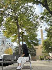 Downtown and Central library