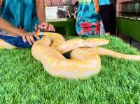 GET WILD AT TTI MINI ZOO | FEED, PLAY, AND EXPLORE IN TERENGGANU
