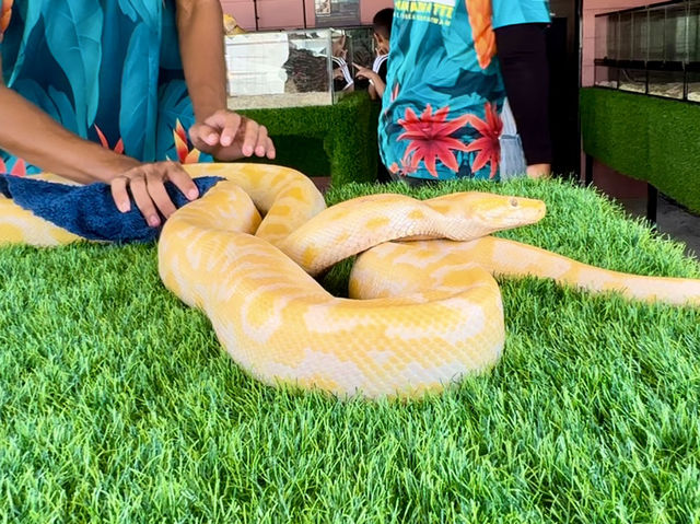 GET WILD AT TTI MINI ZOO | FEED, PLAY, AND EXPLORE IN TERENGGANU