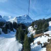 Grindelwald First 