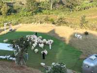 StardoiCoffee&Farmstay