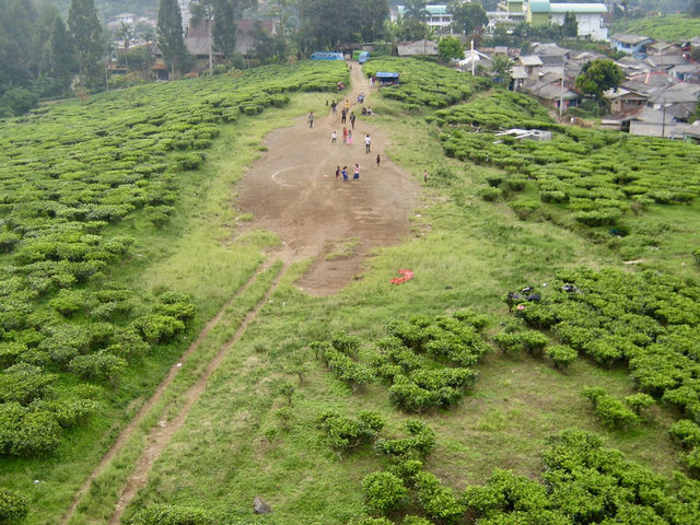 Fly High: My Epic Paragliding Adventure at Paralayang Puncak