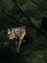 🇨🇳 Timeless Traditions and Tranquil Landscapes: Exploring Longnan County