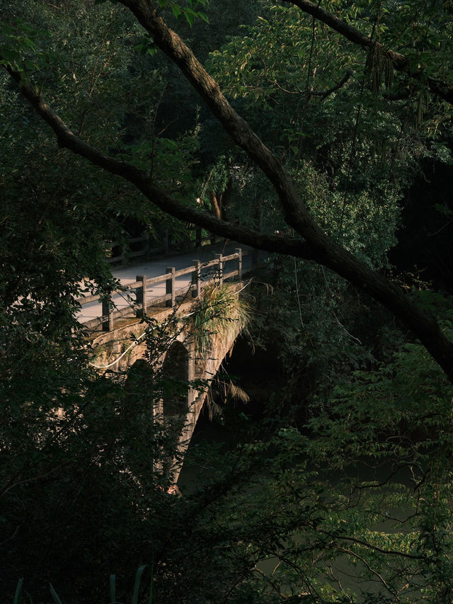 🇨🇳 Timeless Traditions and Tranquil Landscapes: Exploring Longnan County