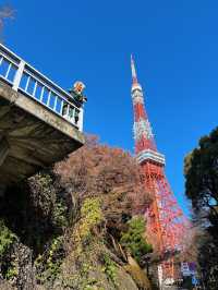 Shiba Park