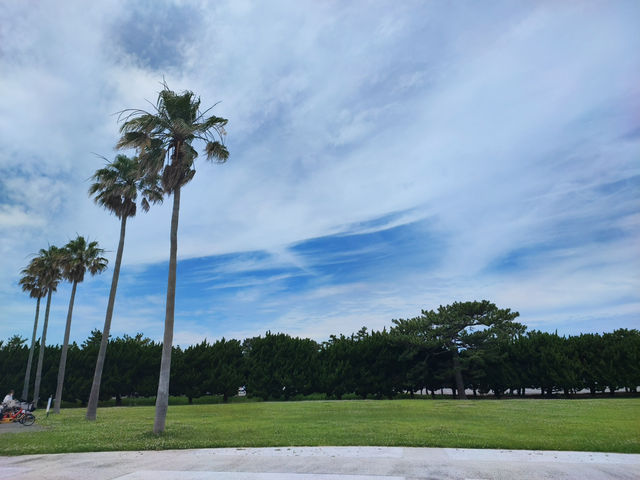 🌏 迷人的海之中道水族館：探索動物多樣性的奇妙旅程 🐬