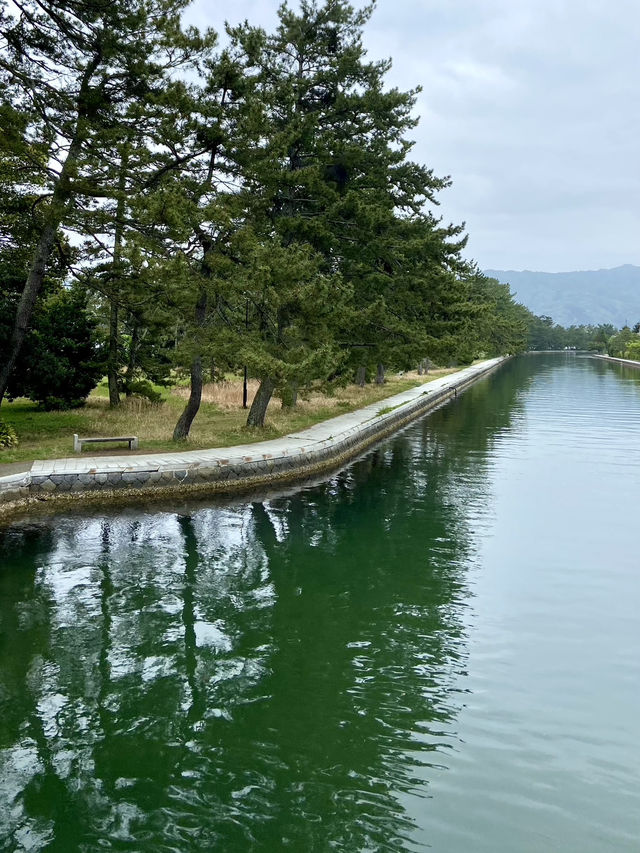 Bridge to Heaven : Amanohashidate