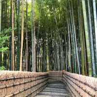 Adashino Nenbutsuji Temple
