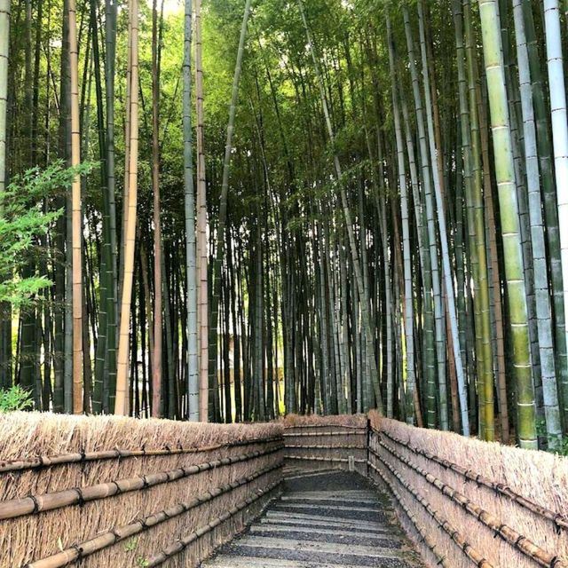 Adashino Nenbutsuji Temple